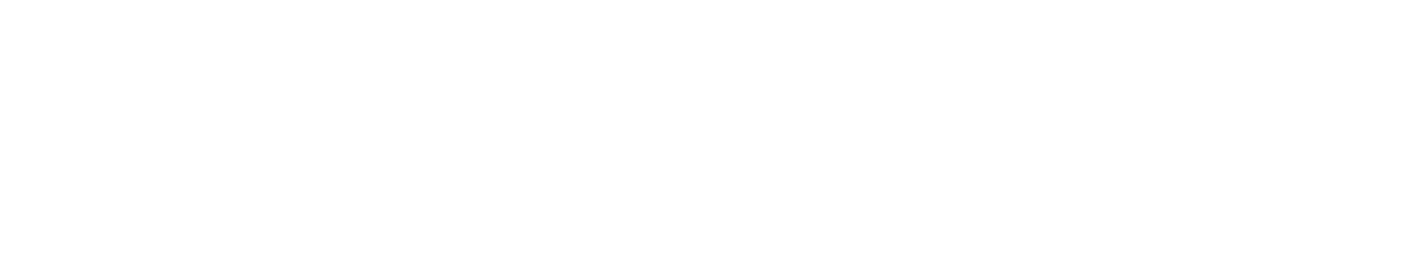 Horizon Health Economics